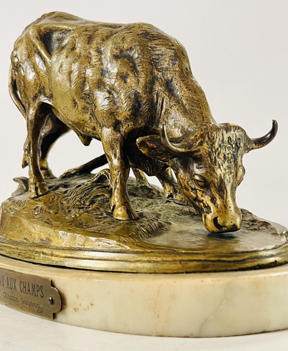 Taureau au champ - Victor CHEMIN-photo-1